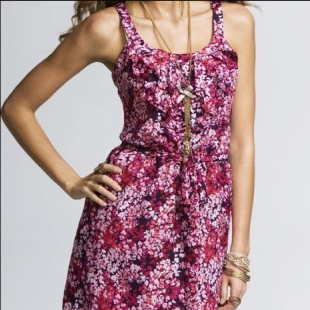 Express Pink Floral Ruffle Dress